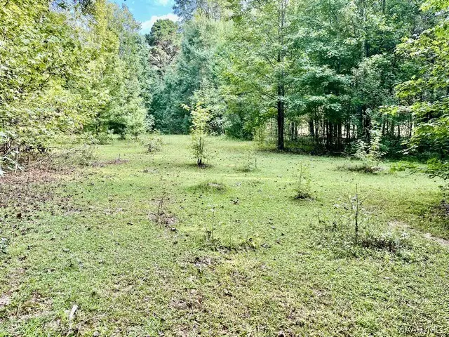 1 Mt Hebron Road, Eclectic, AL 36024 - #1