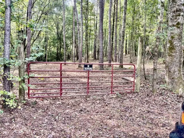 1 Mt Hebron Road, Eclectic, AL 36024 - #2