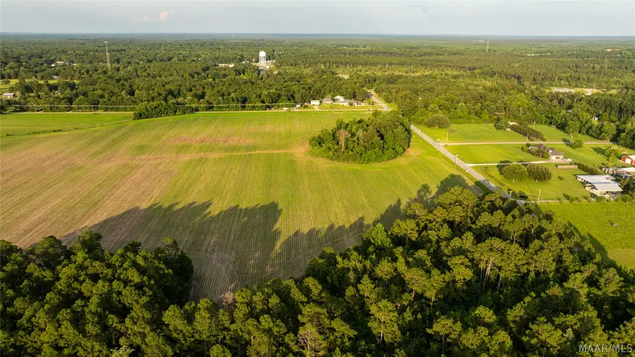 000 Pine Road, Stapleton, AL 36578 - #3