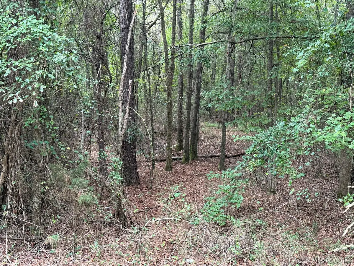 00 County Rd 44 Road, Autaugaville, AL 36003 - #1