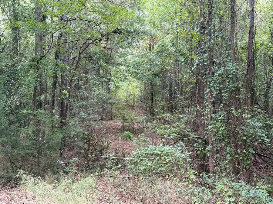00 County Rd 44 Road, Autaugaville, AL 36003 - #2