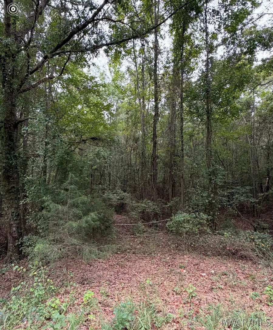 00 County Rd 44 Road, Autaugaville, AL 36003 - #3