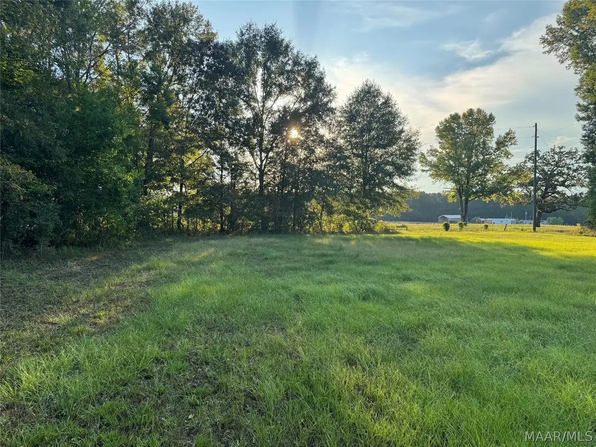 331 Old Barnes Road, Pine Level, AL 36065 - #1
