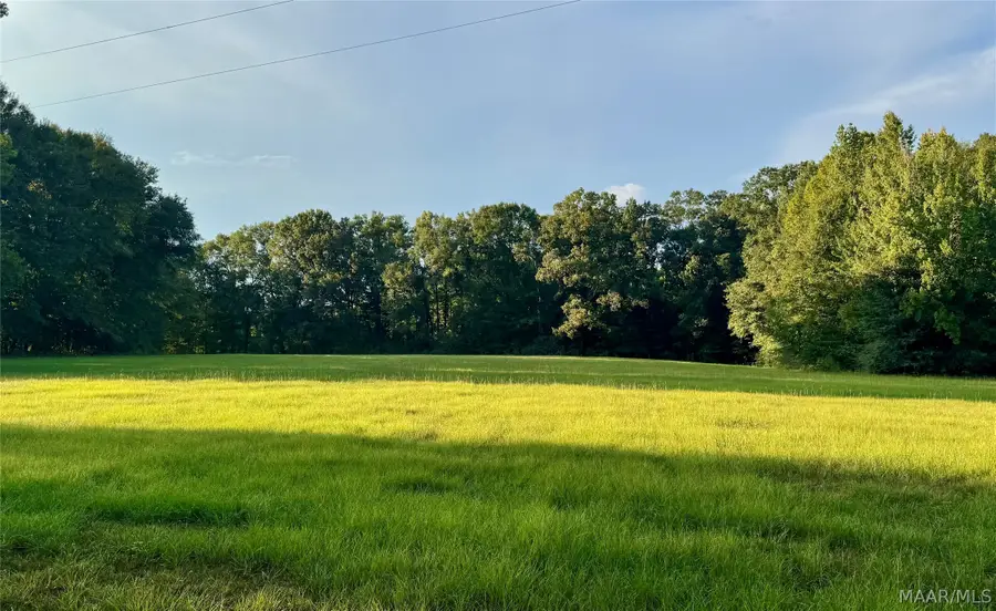 331 Old Barnes Road, Pine Level, AL 36065 - #3
