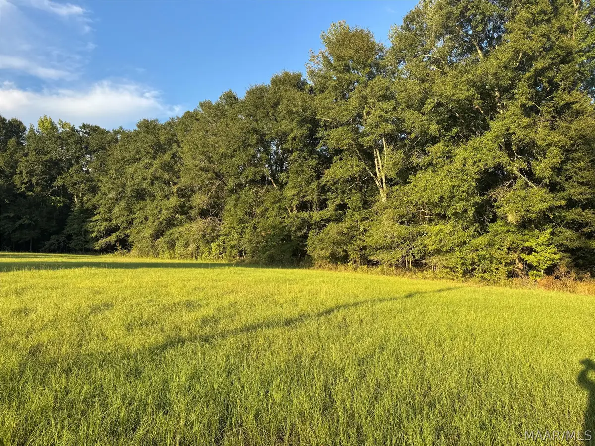 359 Old Barnes Road, Mathews, AL 36052 - #1
