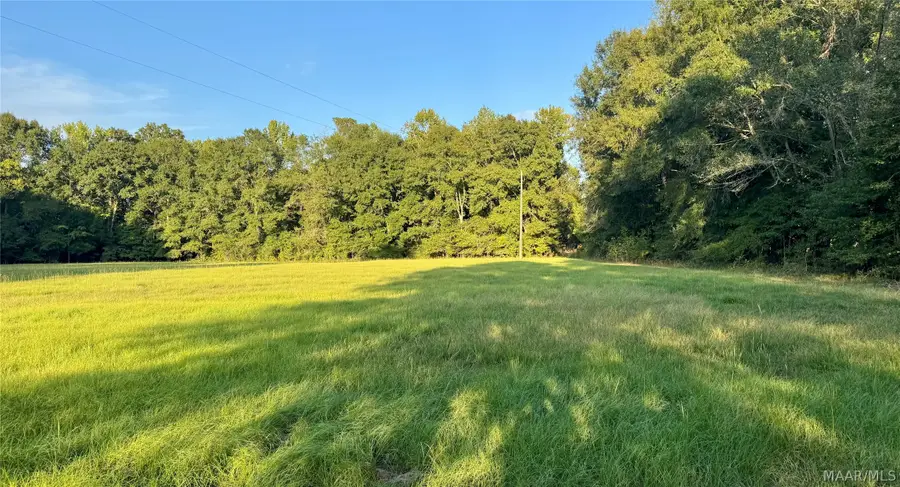 359 Old Barnes Road, Mathews, AL 36052 - #2
