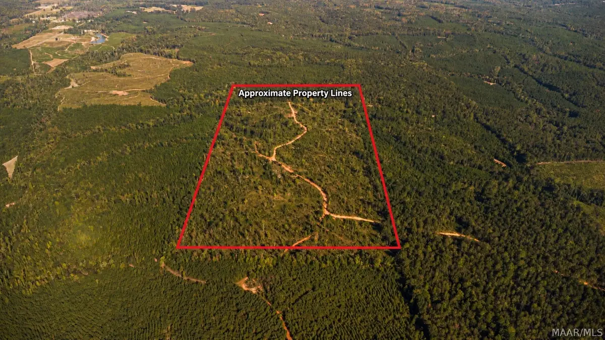 0 County Road 14 Road, Equality, AL 36026 - #1