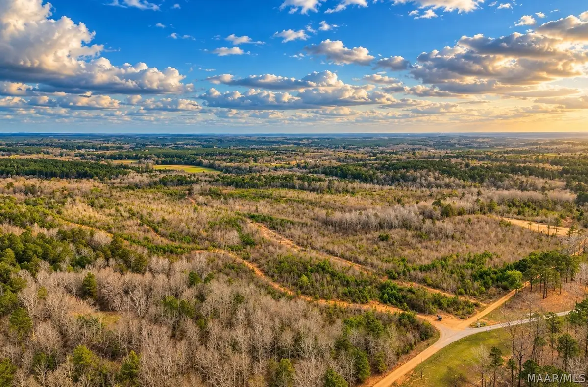0 Brownin Road, Ralph, AL 35480 - #1