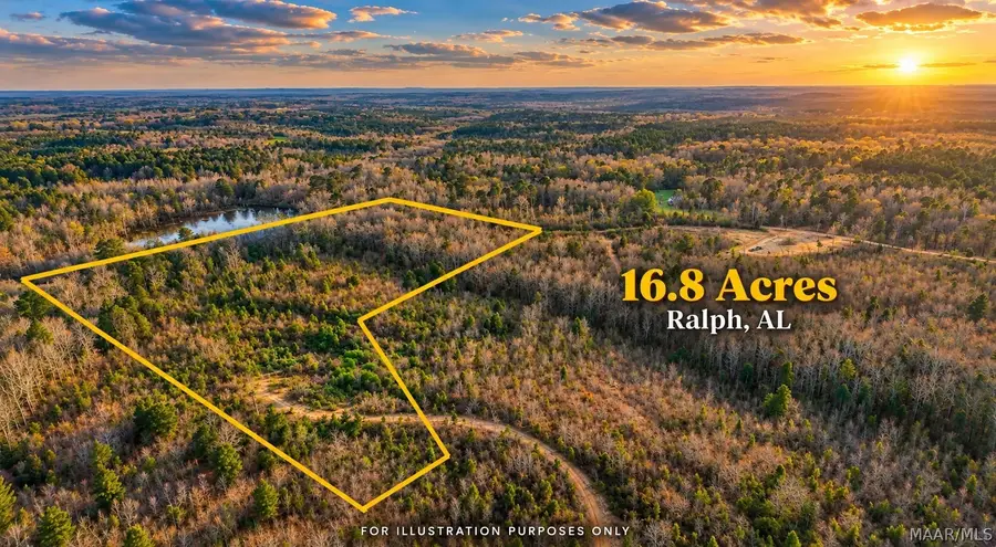 0 Brownin Road, Ralph, AL 35480 - #2