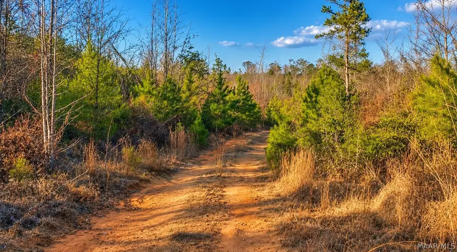0 Brownin Road, Ralph, AL 35480 - #3