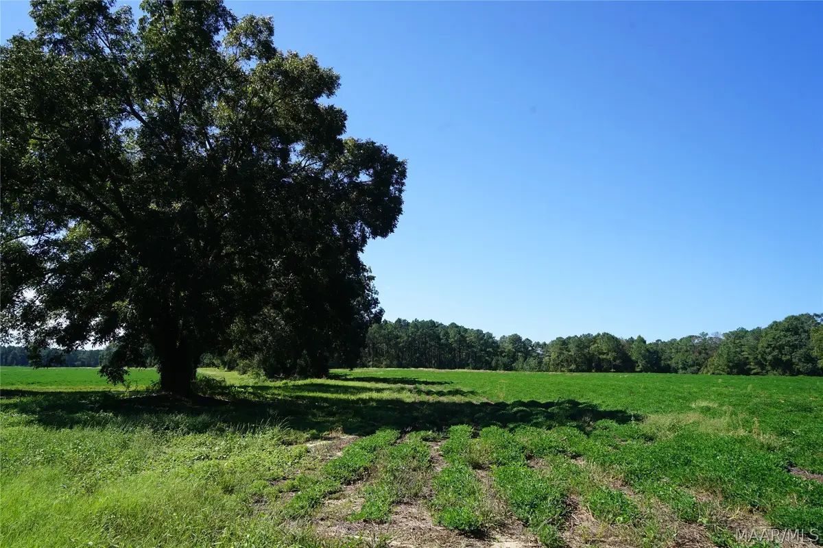 216 County Road 215 Circle, Ariton, AL 36010 - #1