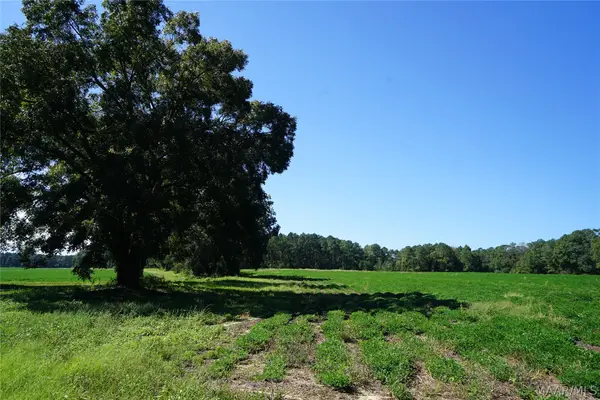 216 County Road 215 Circle, Ariton, AL 36010