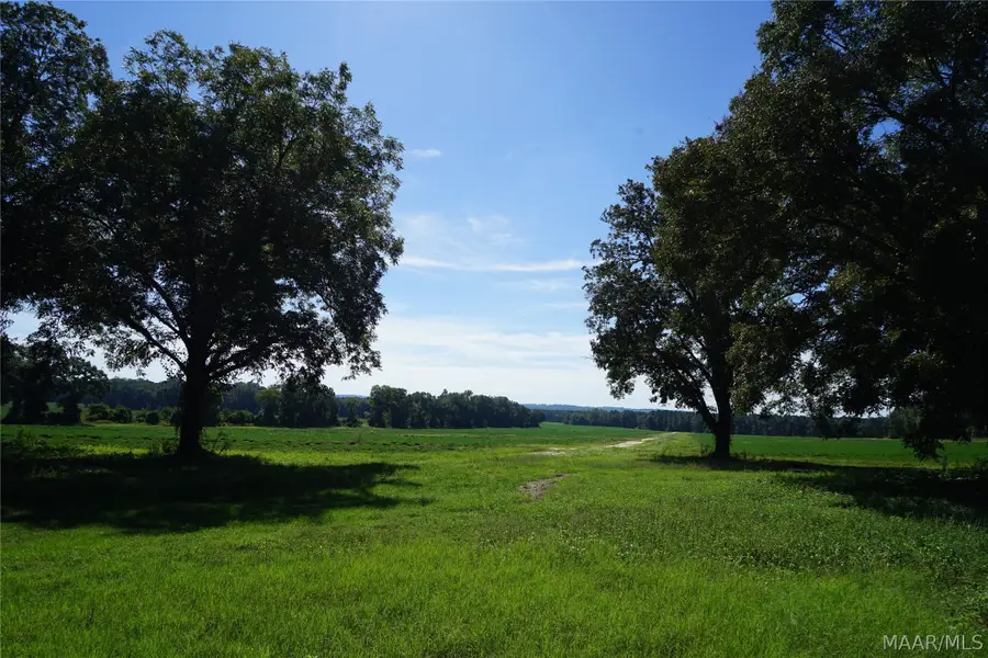 216 County Road 215 Circle, Ariton, AL 36010 - #2
