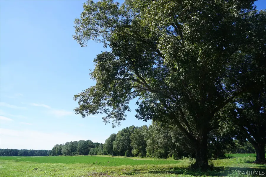 216 County Road 215 Circle, Ariton, AL 36010 - #3