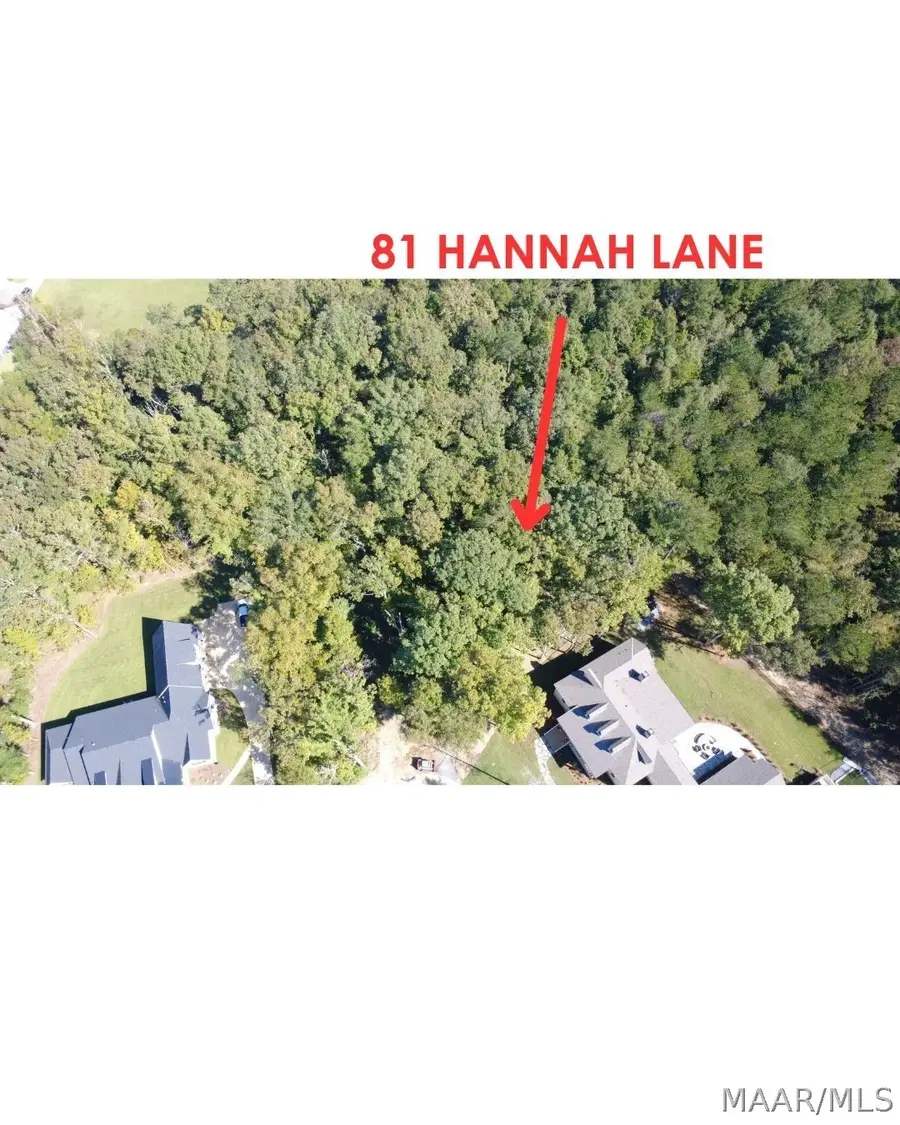 81 Hannah Lane, Pike Road, AL 36064 - #2
