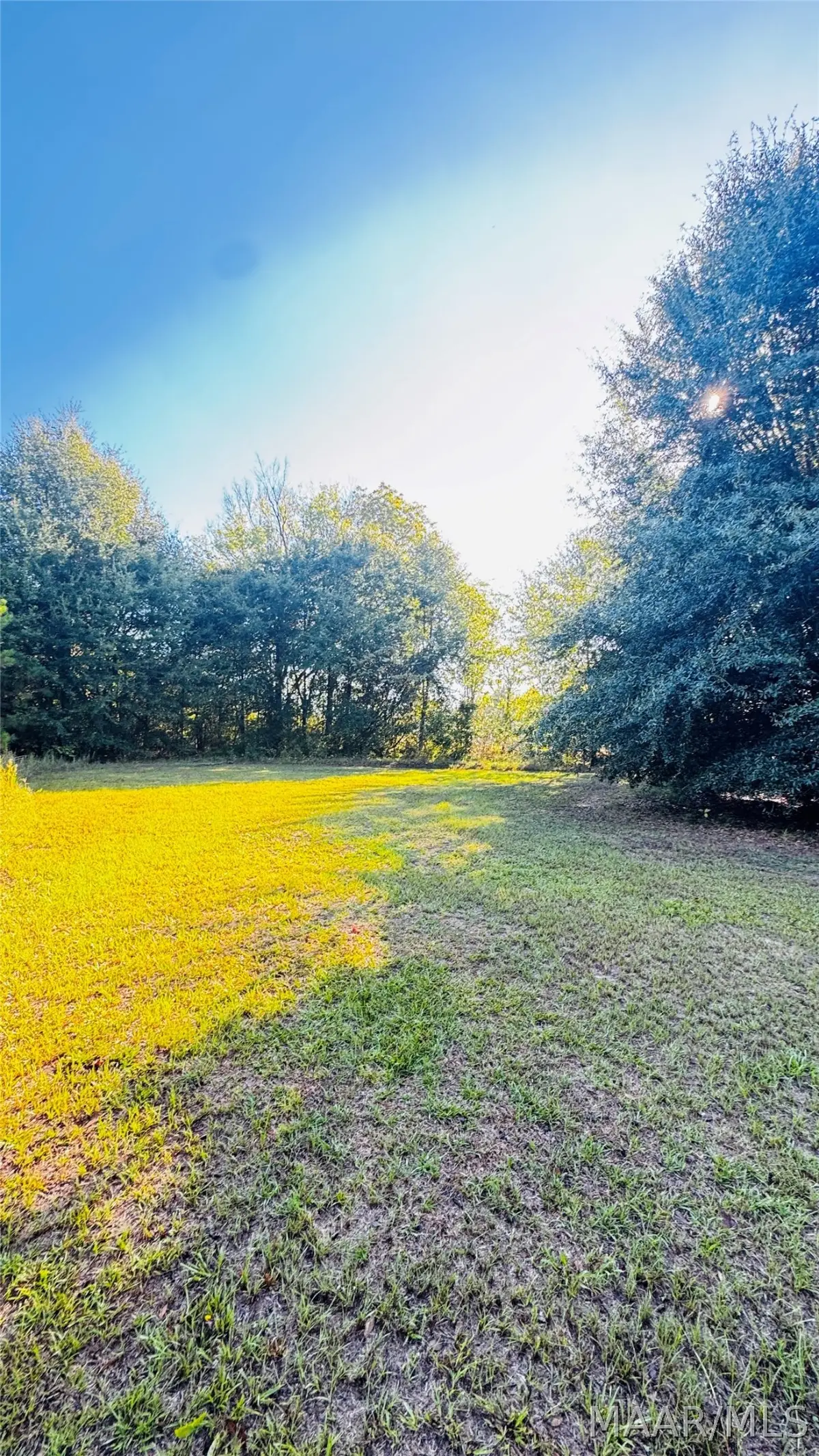 3820 County Road 225 Road, Minter, AL 36761 - #1