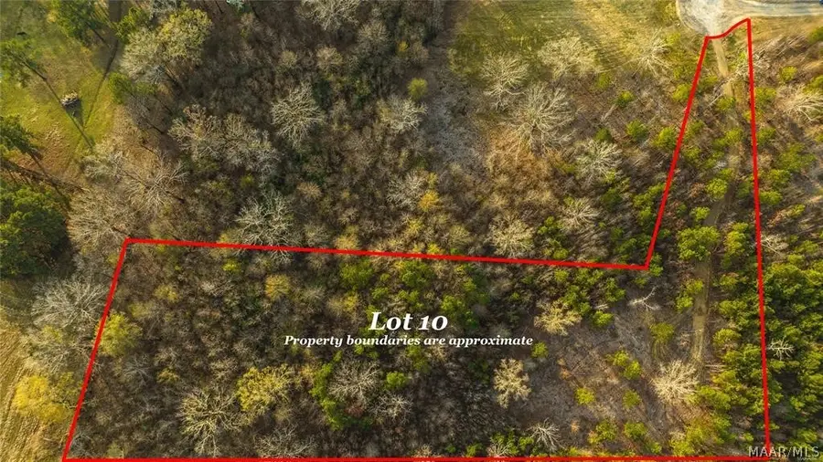 265 Crossing Lane, Pike Road, AL 36064 - #3