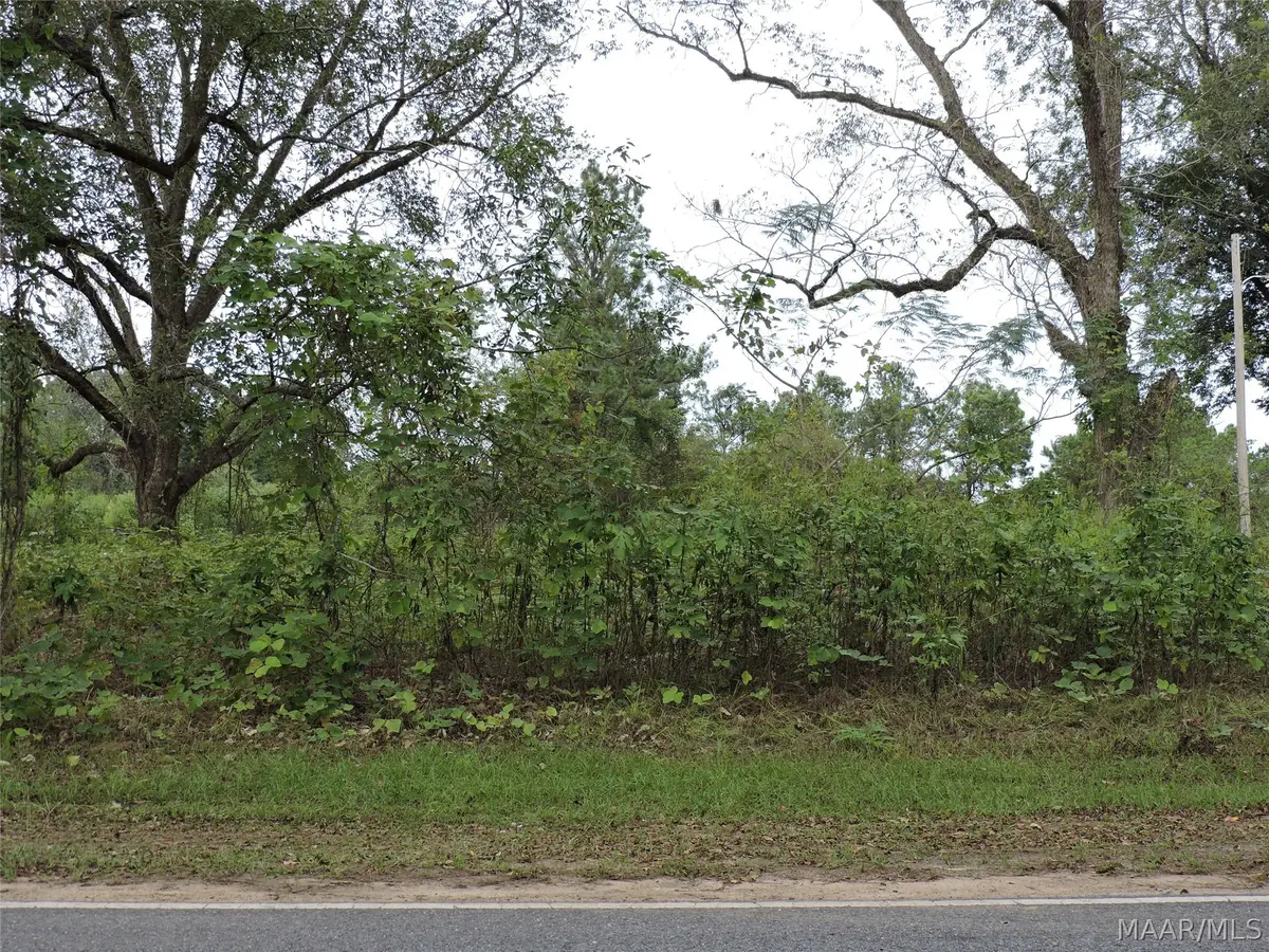 0 S Mt Zion Road, Greenville, AL 36037 - #1