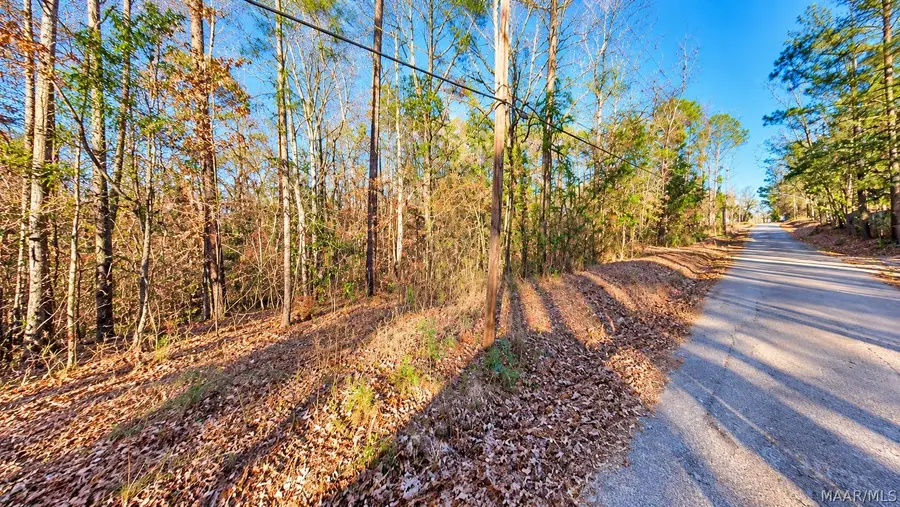 0 Lee Road #352, Salem, AL 36874 - #3