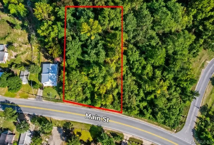 0 Main Street, Greensboro, AL 36744 - #2
