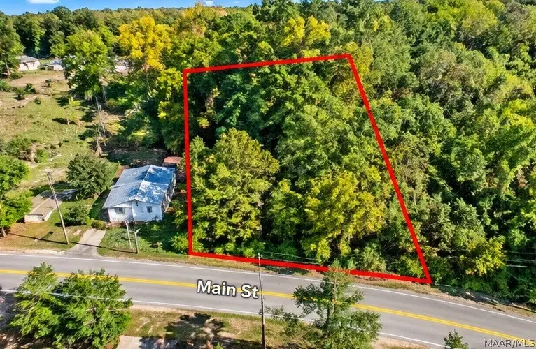 0 Main Street, Greensboro, AL 36744 - #3