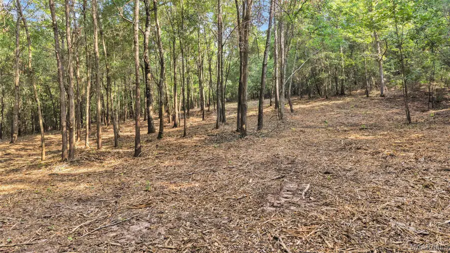 Lot 1 Monfee Road, Prattville, AL 36067 - #3