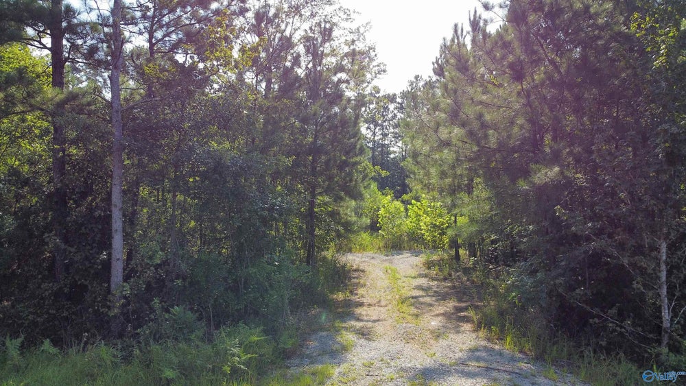 Lot 6 Hiawatha Place, Rainbow City, AL 35906 ERA