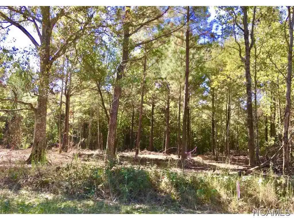 4271 Co Rd 1669, Cullman, AL 35058 - #1