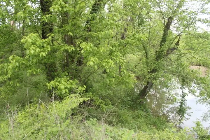 #2