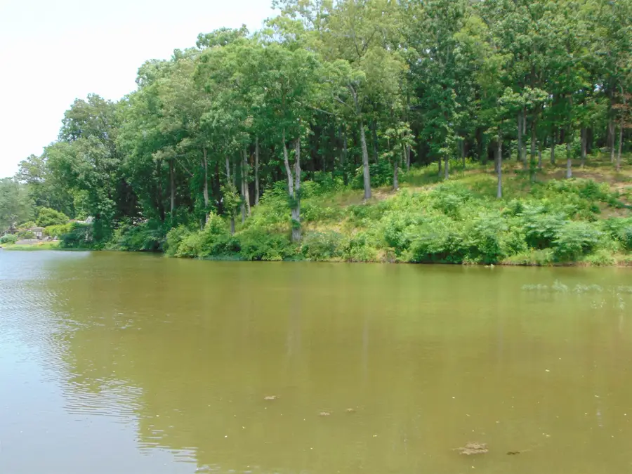 001 Wilson Lake Shores Rd, Muscle Shoals, AL 35661 - #3