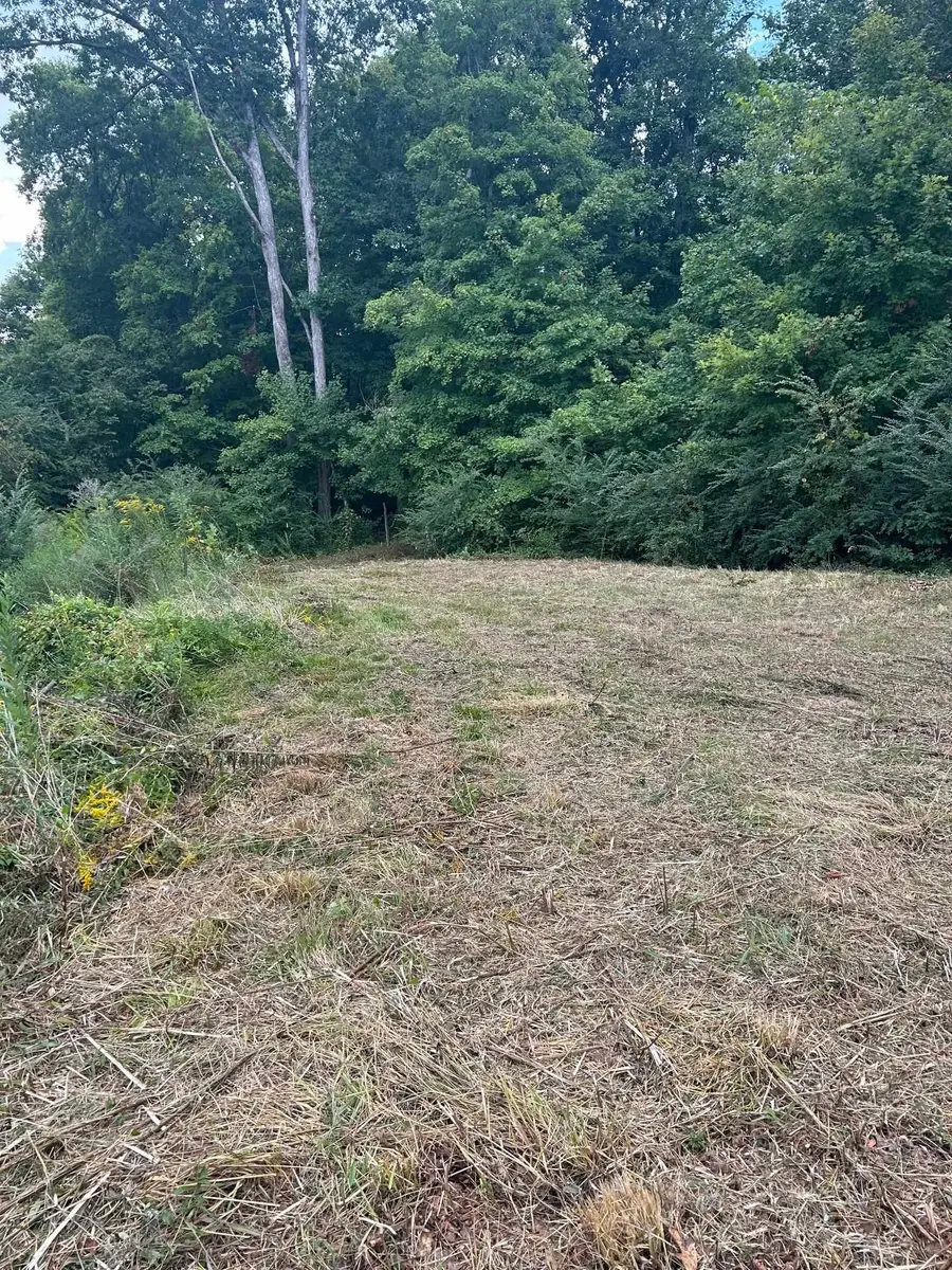 977 Co Rd 112, Florence, AL 35633 - Image #3