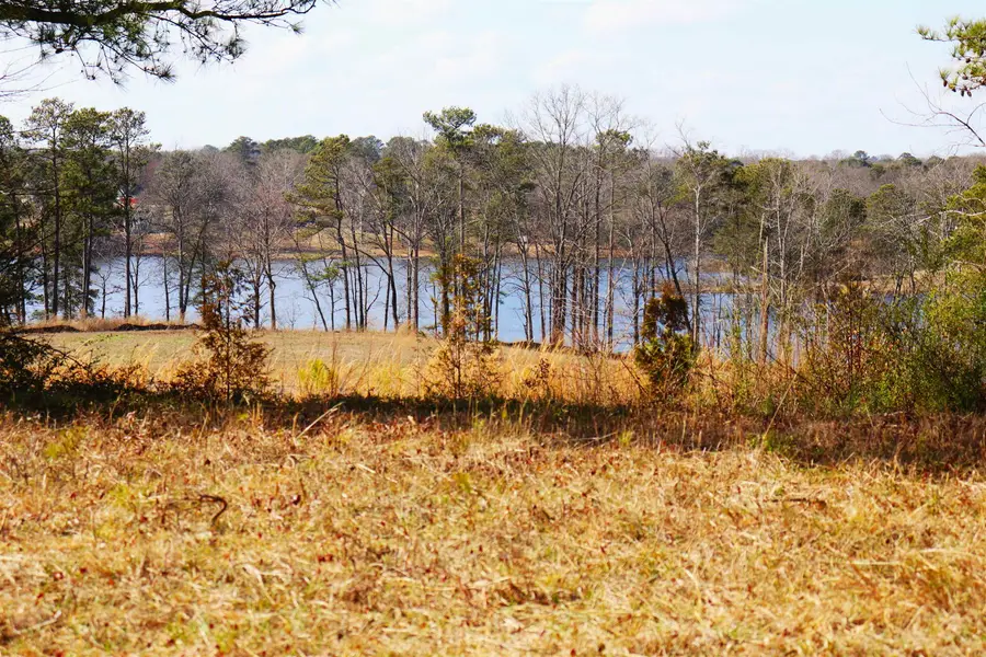 9 acres +/-, 0 Co Rd 1464, Cullman, AL 35058 - Image #2