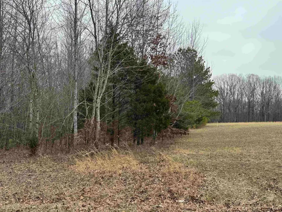 1022 Co Rd 545, Rogersville, AL 35652 - Image #2