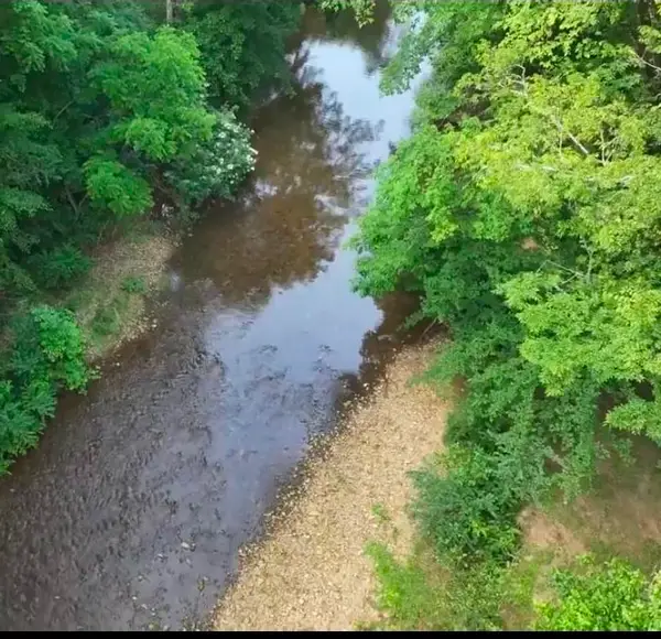 117 Willowbrook Dr, Florence, AL 35630