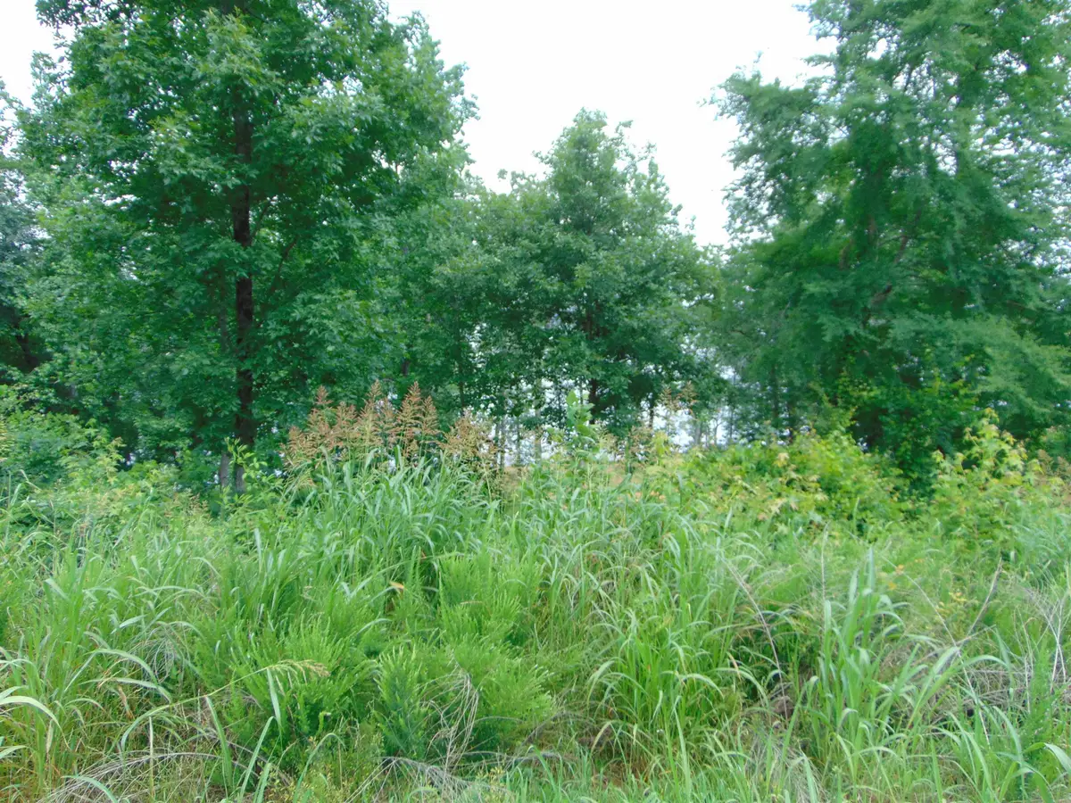 Lot 21 Spyglass Loop, Cherokee, AL 35616 - Image #1