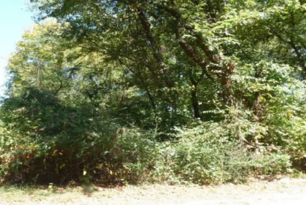 Central Ave, Florence, AL 35630