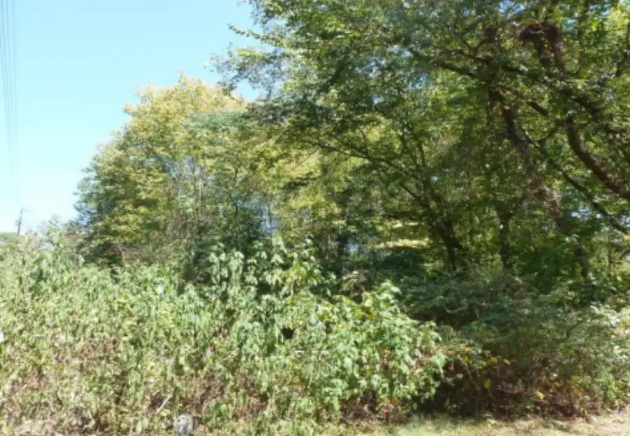 Central Ave, Florence, AL 35630 - Image #2