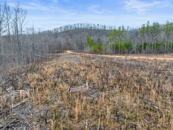 Tract 19 Co Rd 79, Waterloo, AL 35677