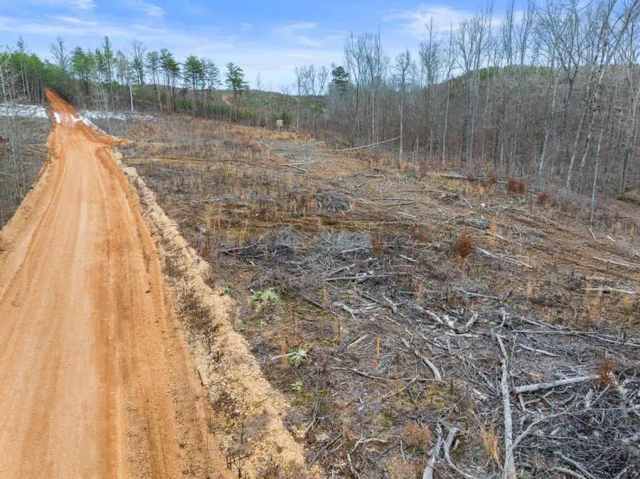 Tract 19 Co Rd 79, Waterloo, AL 35677 - Image #3