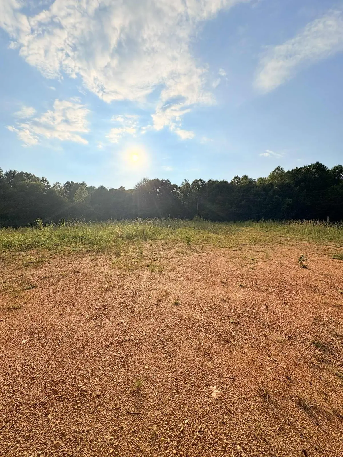 362 Sandusky Rd #lot 4, Phil Campbell, AL 35581 - Image #1