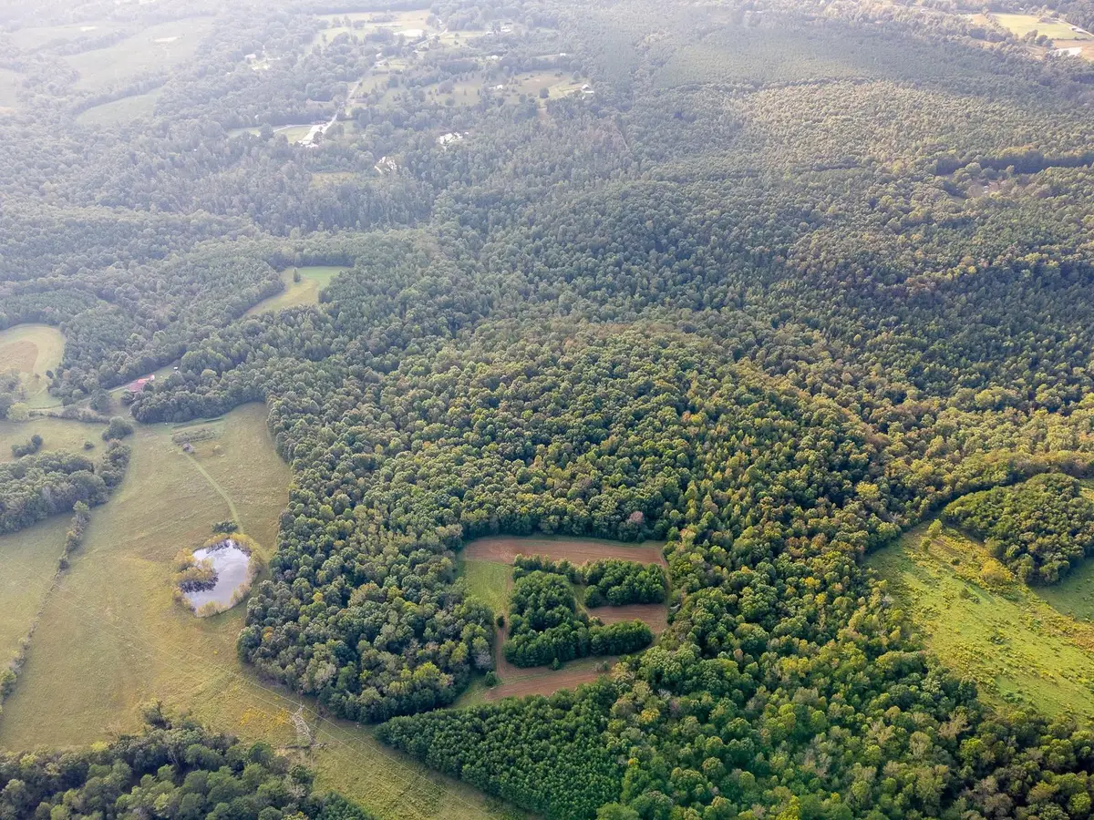 0 Underwood Mountain Rd, Tuscumbia, AL 35674 - Image #1