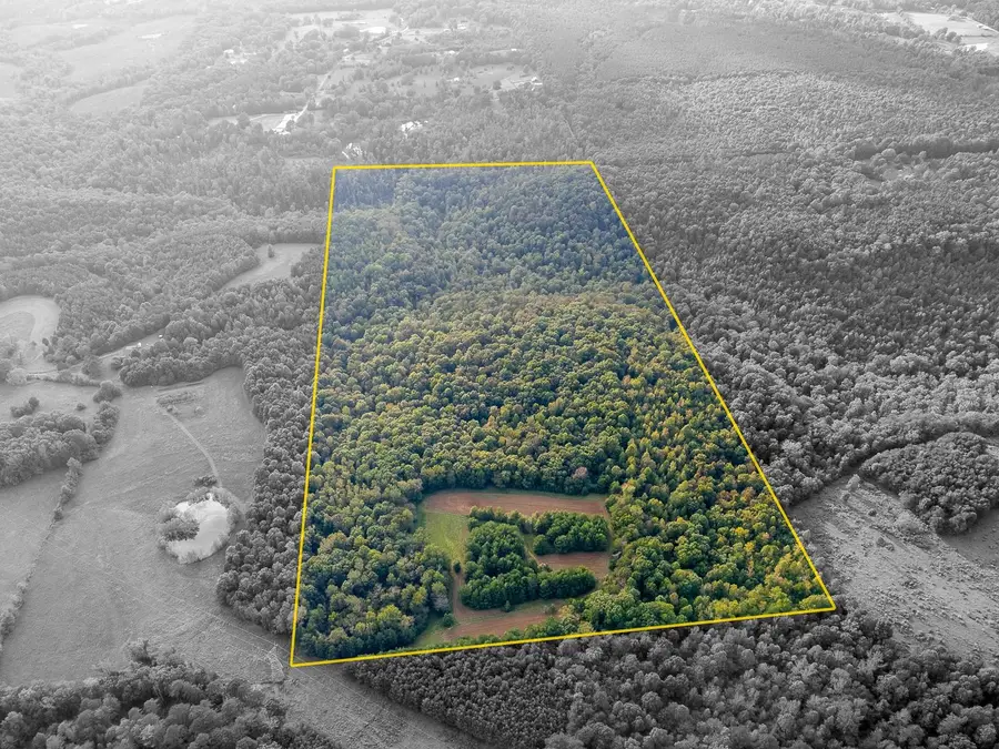 0 Underwood Mountain Rd, Tuscumbia, AL 35674 - Image #2