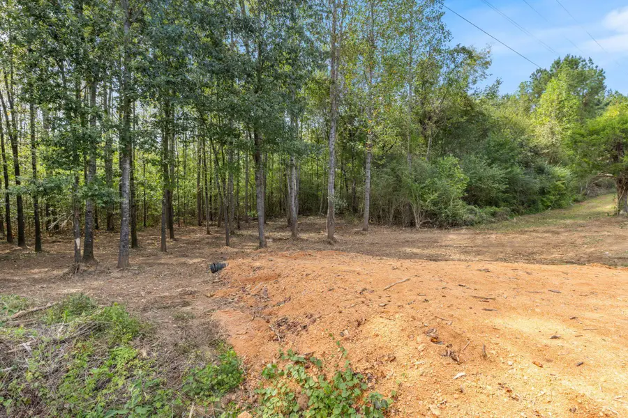 15605 Hwy 157, Florence, AL 35633 - Image #3