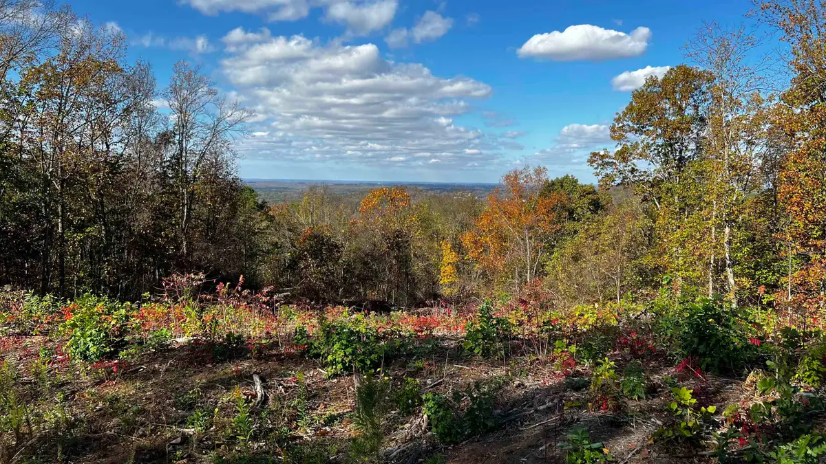 121 Darrell Dr, Tuscumbia, AL 35674 - Image #1