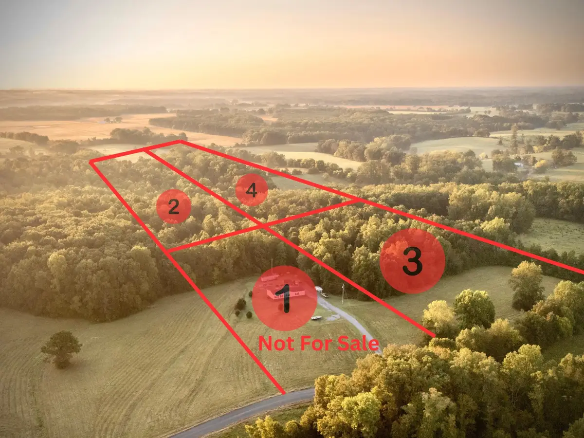 Tract 2 Co Rd 503, Anderson, AL 35610 - Image #1