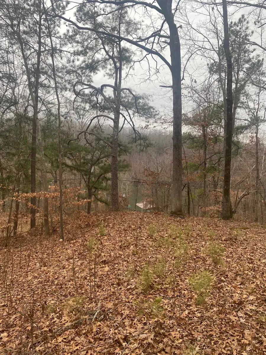 1172 Veterans Dr, Muscle Shoals, AL 35661 - Image #2