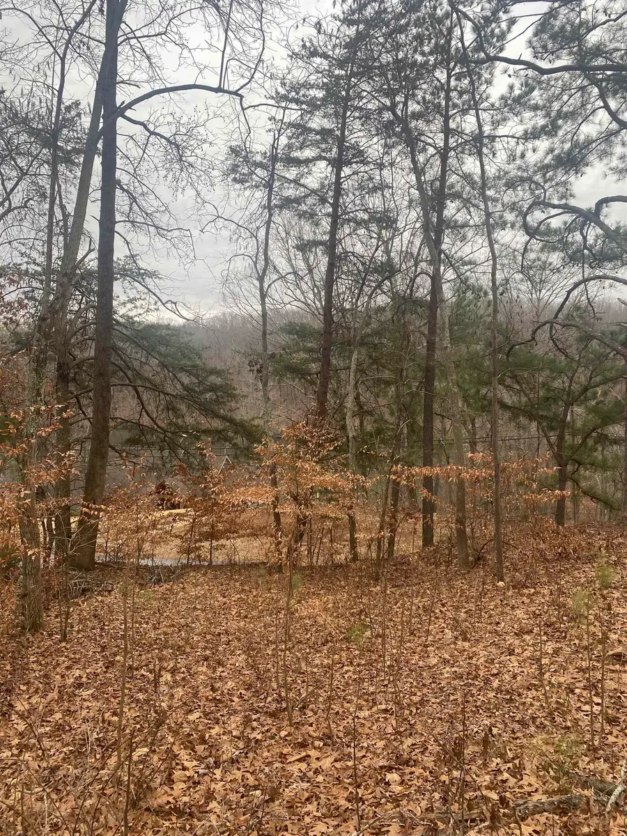 1172 Veterans Dr, Muscle Shoals, AL 35661 - Image #3