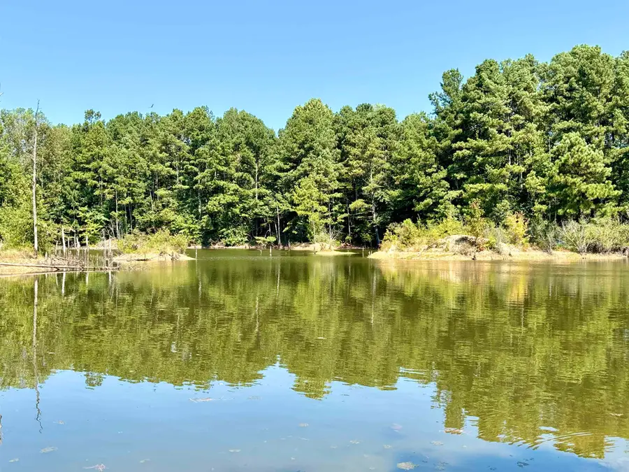 0 Co Rd 20, Phil Campbell, AL 35581 - Image #3