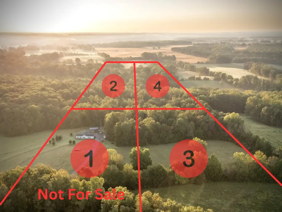 Tract 3 Co Rd 503, Anderson, AL 35610 - Image #1