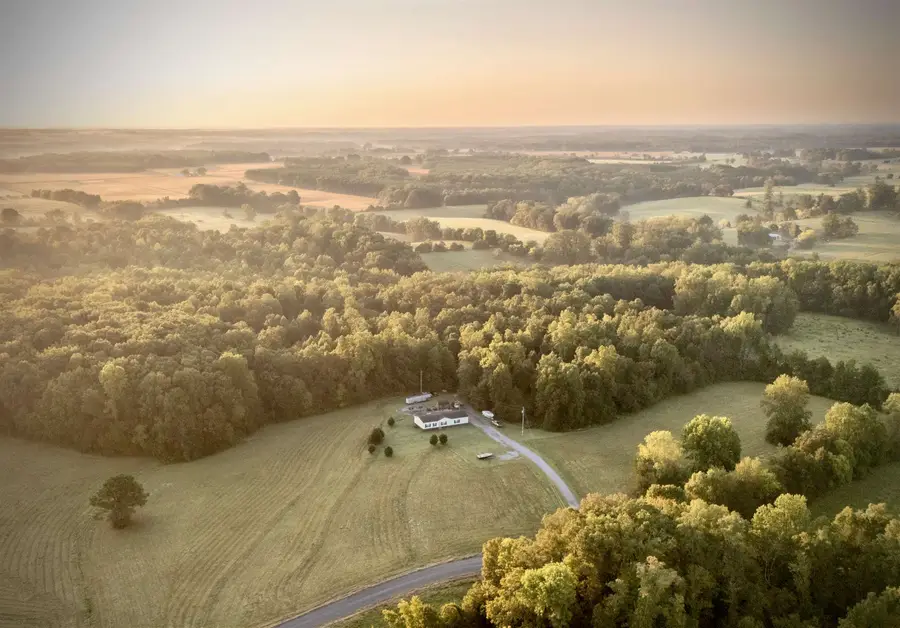 Tract 3 Co Rd 503, Anderson, AL 35610 - Image #3